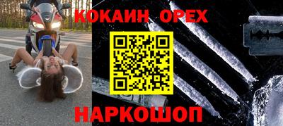 крисы Партизанск
