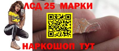 индика Обнинск