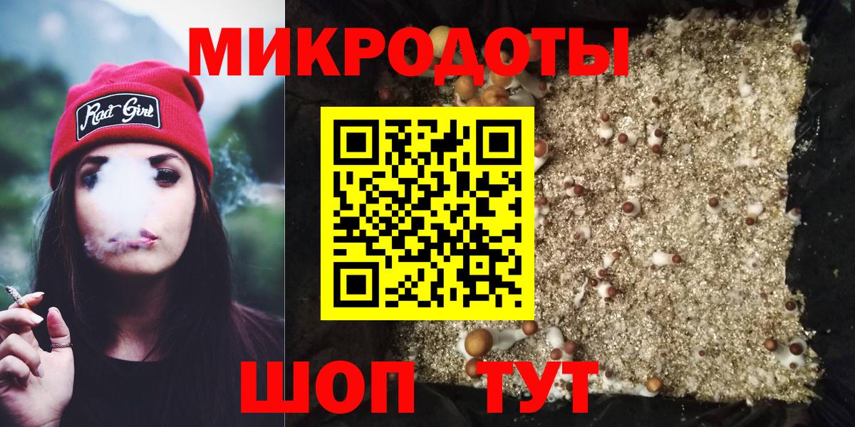 APVP Сызрань