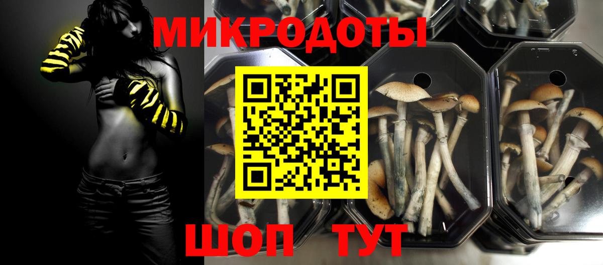 Сызрань  Галлюциногенные грибы Psilocybe  Вход с VPN  Псилоцибиновые грибы GOLDEN TEACHER 