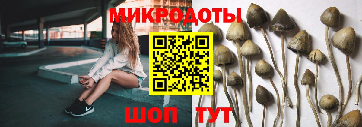 Галлюциногенные грибы MAGIC MUSHROOMS Сызрань